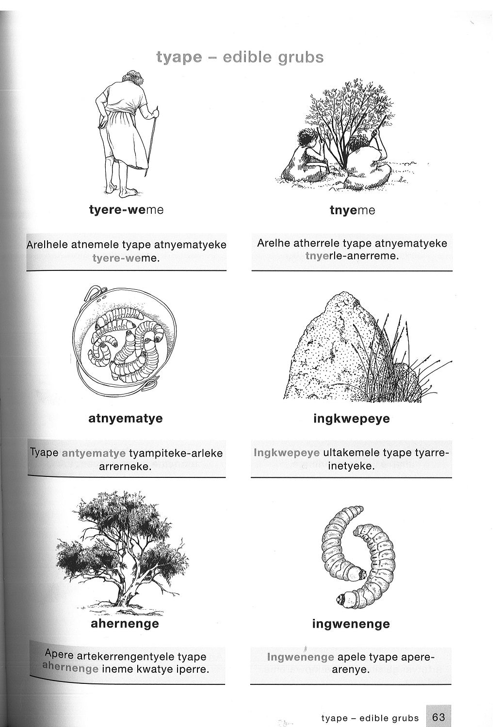 Eastern and Central Arrernte Picture Dictionary | IAD Press | Australian Aboriginal Publisher & Book Shop